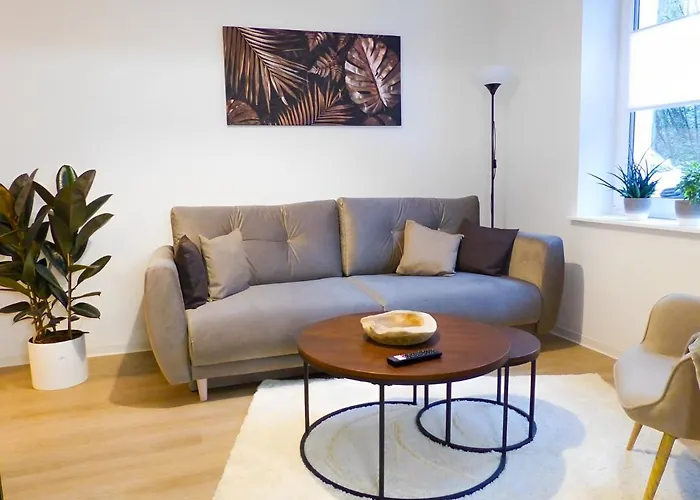 Modernes Mit Queensize-bett, Netflix, Kueche, Erdgeschoss, Naehe Ameos Klinik