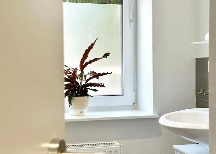 Appartamento Modernes Mit Queensize-bett, Netflix, Kueche, Erdgeschoss, Naehe Ameos Klinik *